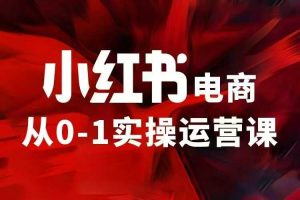 小红书电商运营，97节小红书vip内部课，带你实现小红书赚钱_网创资源库