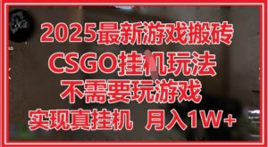 2025最新游戏搬砖，CSGO挂G，不需要玩游戏，实现真挂G，月入1W+【揭秘】_网创资源库