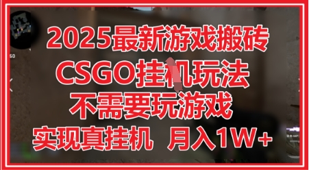 2025最新游戏搬砖，CSGO挂G，不需要玩游戏，实现真挂G，月入1W+【揭秘】_网创资源库