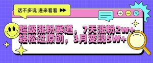 超级涨粉赛道，每天半小时，7天涨粉2W+，轻松过原创，三月变现5W+【揭秘】_网创资源库