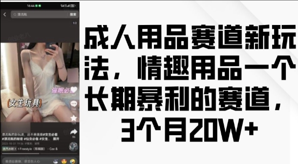 成人用品赛道新玩法，情趣用品一个长期暴利的赛道，3个月收益20个【揭秘】_网创资源库