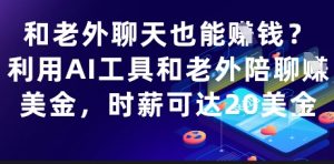 和老外聊天也能挣钱？利用AI工具和老外陪聊挣美金，时薪可达20刀_网创资源库