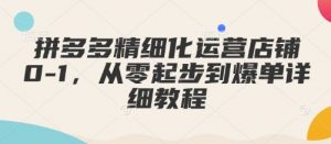 拼多多精细化运营店铺0-1，从零起步到爆单详细教程_网创资源库