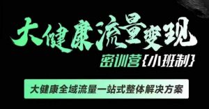 千万级大健康变现课线下课，大健康全域流量一站式整体解决方案_网创资源库