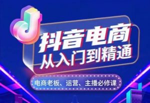 抖音电商从入门到精通，​从账号、流量、人货场、主播、店铺五个方面，全面解析抖音电商核心逻辑_网创资源库