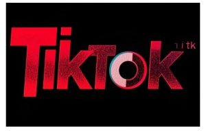 TikTok ads投流秘籍，涵盖tiktok整体投放思路，教你搭建测试计划_网创资源库