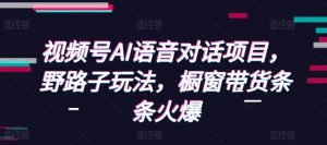 视频号AI语音对话项目，野路子玩法，橱窗带货条条火爆_网创资源库