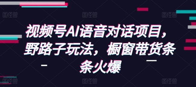 视频号AI语音对话项目，野路子玩法，橱窗带货条条火爆_网创资源库