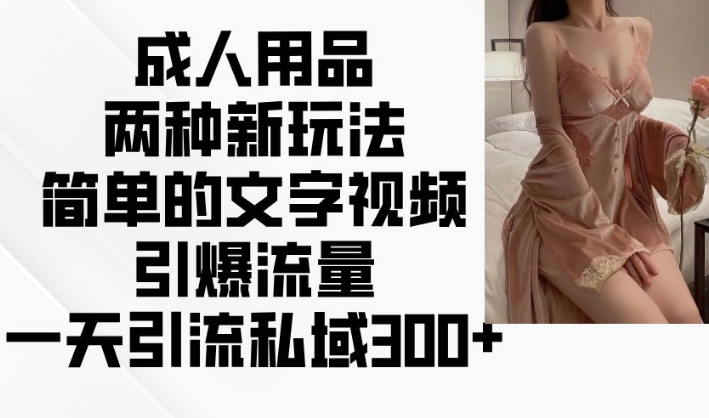 成人用品两种新玩法，简单的文字视频引爆流量，一天引流私域300+_网创资源库