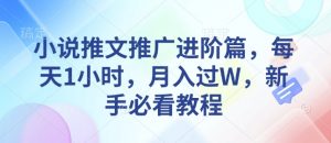 小说推文推广进阶篇，每天1小时，月入过W，新手必看教程_网创资源库