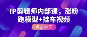 IP剪辑师内部课，涨粉跑模型+挂车视频_网创资源库