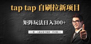 taptap拉新自刷项目，一个新用户14元，矩阵玩法日入300+_网创资源库