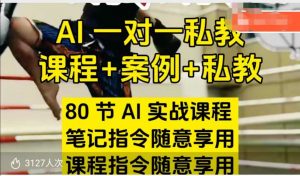 AI指令实战课，课程+案例，80节AI实战课程，笔记指令随意享用，课程指令随意享用_网创资源库