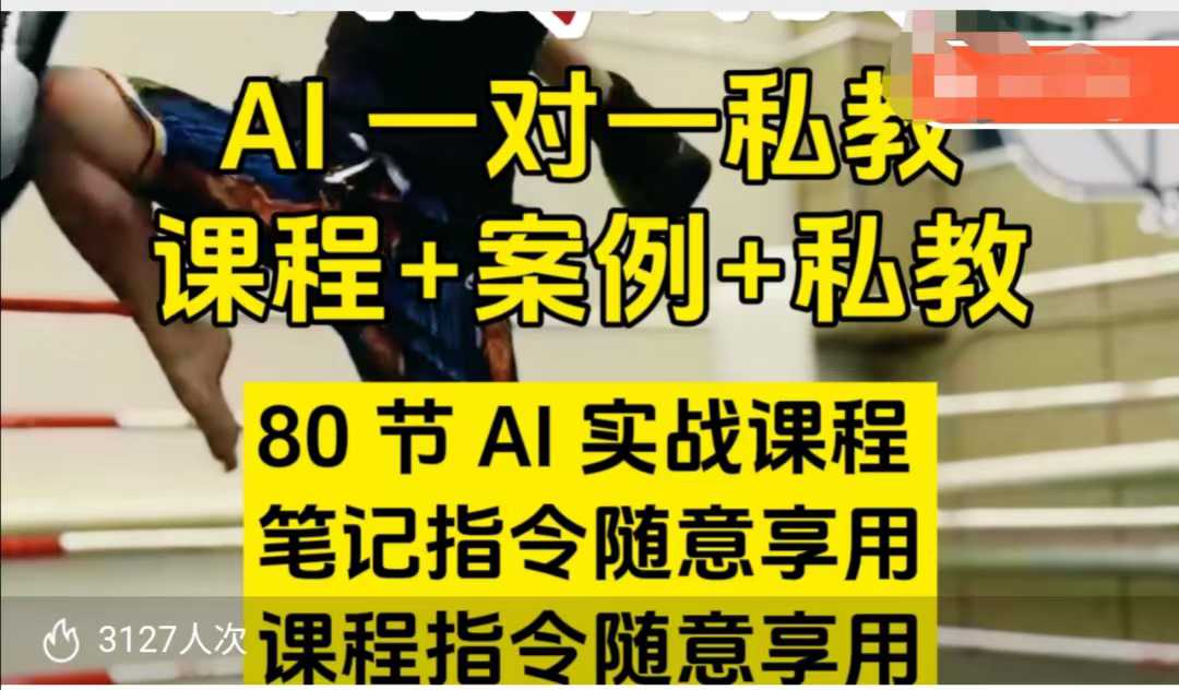 AI指令实战课，课程+案例，80节AI实战课程，笔记指令随意享用，课程指令随意享用_网创资源库