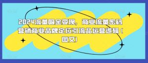 2024流量吸金变现，商业流量密码营销商业品牌定位引流品运营逻辑(图文)_网创资源库