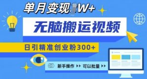 无脑搬运视频号可批量复制，新手即可操作，日引精准创业粉300+，月变现过W 【揭秘】_网创资源库