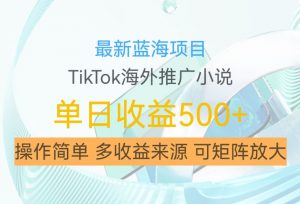 最新蓝海项目，利用tiktok海外推广小说赚钱佣金，简单易学，日入500+，可矩阵放大【揭秘】_网创资源库