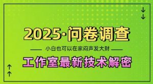 2025问卷调查最新工作室技术解密：一个人在家也可以闷声发大财，小白一天2张，可矩阵放大【揭秘】_网创资源库