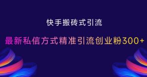 快手搬砖式引流，最新私信方式精准引流创业粉300+_网创资源库