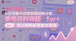 小红书聚光投放实操经验分享，单号月利润超1w+，可以矩阵起号放大利润_网创资源库