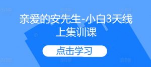 亲爱的安先生-小白3天线上集训课_网创资源库
