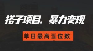 2024搭子玩法，0门槛，暴力变现，单日最高破四位数【揭秘】_网创资源库