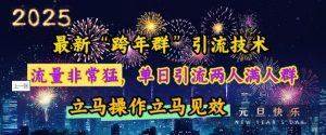 最新“跨年群”引流，流量非常猛，单日引流两人满人群，立马操作立马见效【揭秘】_网创资源库
