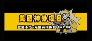 美团神券神会员_入门级教程，外卖券膨胀推广项目【全网首发，全新蓝海】_网创资源库