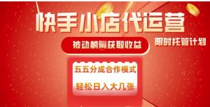 快手小店代运营，被动躺Z收益，收益五五分，单日稳定变现五张【揭秘】_网创资源库