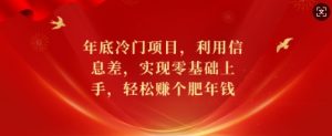 年底冷门项目，利用信息差，实现零基础上手，轻松赚个肥年钱【揭秘】_网创资源库