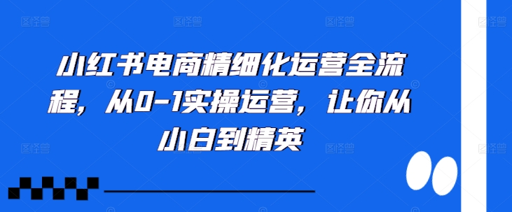 小红书电商精细化运营全流程，从0-1实操运营，让你从小白到精英_网创资源库