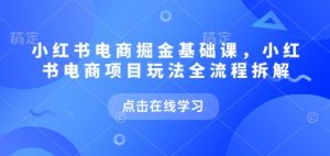 小红书电商掘金课，小红书电商项目玩法全流程拆解_网创资源库
