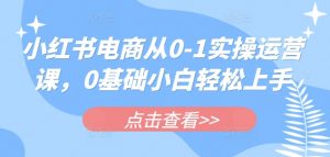 小红书电商从0-1实操运营课，0基础小白轻松上手_网创资源库