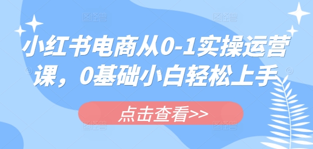 小红书电商从0-1实操运营课，0基础小白轻松上手_网创资源库
