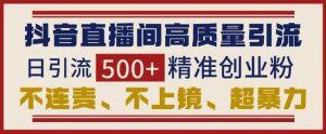 抖音直播间引流创业粉，无需连麦、不用上镜、超暴力，日引流500+高质量精准创业粉_网创资源库