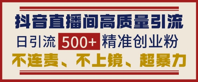 抖音直播间引流创业粉，无需连麦、不用上镜、超暴力，日引流500+高质量精准创业粉_网创资源库