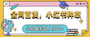 小红书种草，手机项目，日入3张，复制黏贴即可，可矩阵操作，动手不动脑【揭秘】_网创资源库