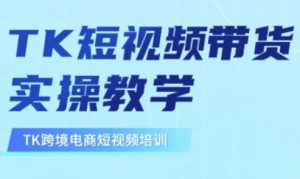东南亚TikTok短视频带货，TK短视频带货实操教学_网创资源库