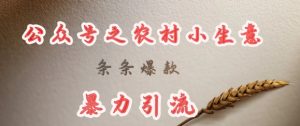deepseek写农村小项目，条条爆款，暴力引流_网创资源库