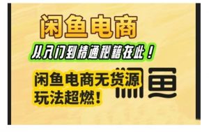 闲鱼电商实战课，从入门到精通秘籍在此，闲鱼电商无货源玩法超燃!_网创资源库