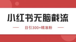 小红书只要你有同行就能获客，独家野路子获客玩法，暴力截流【揭秘】_网创资源库