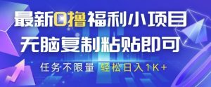 最新0撸福利小项目，抖音平台大放水，无脑复制粘贴 即可挣钱，任务不限量，轻松日入1K+【揭秘】_网创资源库