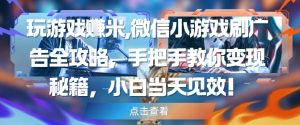 玩游戏挣米，微信小游戏刷广告全攻略，手把手教你变现秘籍，小白当天见效_网创资源库