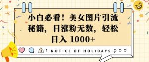小白必看，美女图片引流秘籍，日涨粉无数，轻松日入几张【揭秘】_网创资源库