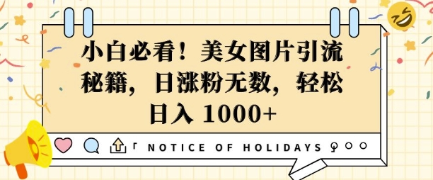 小白必看，美女图片引流秘籍，日涨粉无数，轻松日入几张【揭秘】_网创资源库