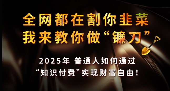 全网都在割你韭菜，我来教你做镰刀，2025年普通人如何通过 知识付费 实现财F自由【揭秘】_网创资源库