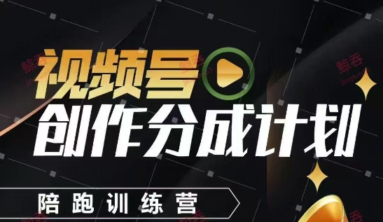 视频号创作分成计划陪跑训练营，手把手教会你如何制作视频，细水长流型项目_网创资源库