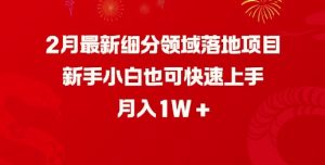 2月最新细分领域落地项目，新手小白也可快速上手，月入1W_网创资源库
