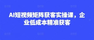 AI短视频矩阵获客实操课，企业低成本精准获客_网创资源库