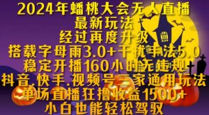 2024年蟠桃大会无人直播最新玩法，稳定开播160小时无违规，抖音、快手、视频号三家通用玩法【揭秘】_网创资源库